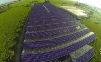 Greenhouse Solar Power